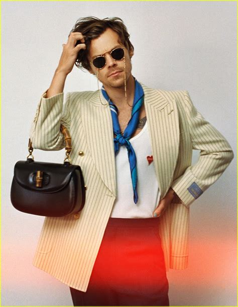 harry styles second gucci campaign|Harry Styles Gucci model.